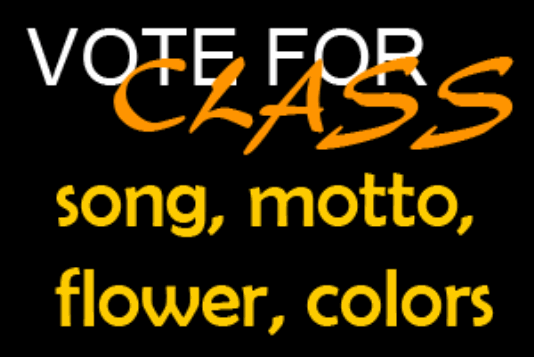 classVotes